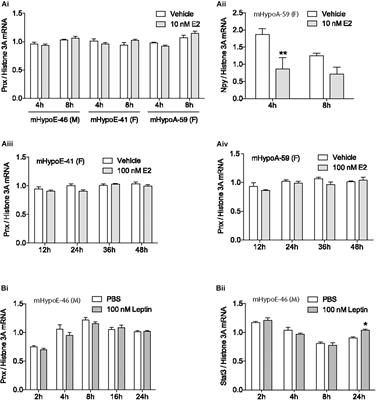 Phoenixin Expression Is Regulated by the Fatty Acids Palmitate, Docosahexaenoic Acid and Oleate, and the Endocrine Disrupting Chemical Bisphenol A in Immortalized Hypothalamic Neurons